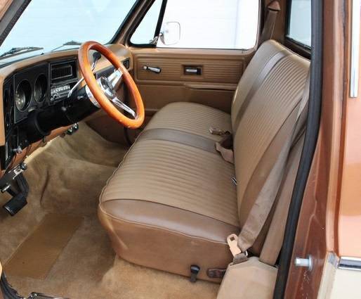 1979 Chevrolet C-10 Bonanza - photo 9