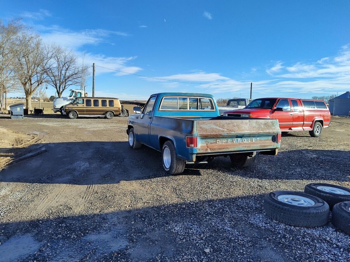 1979 Chevrolet C10 custom delux - photo 3