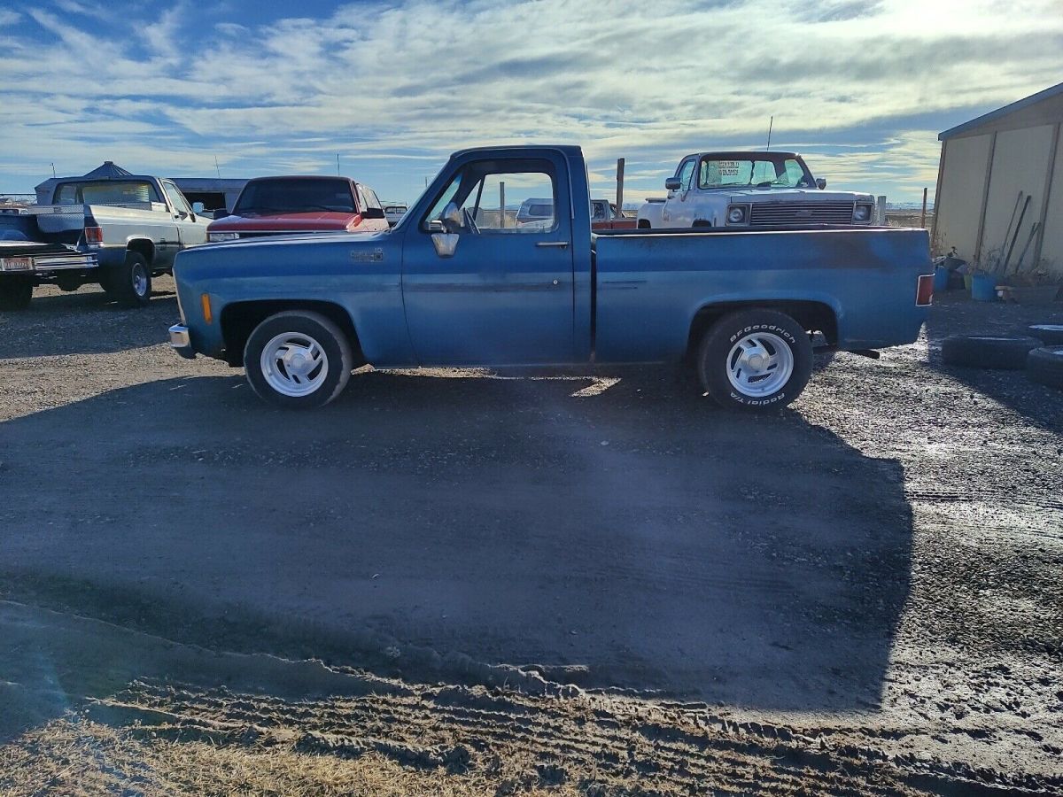 1979 Chevrolet C10 custom delux - photo 4