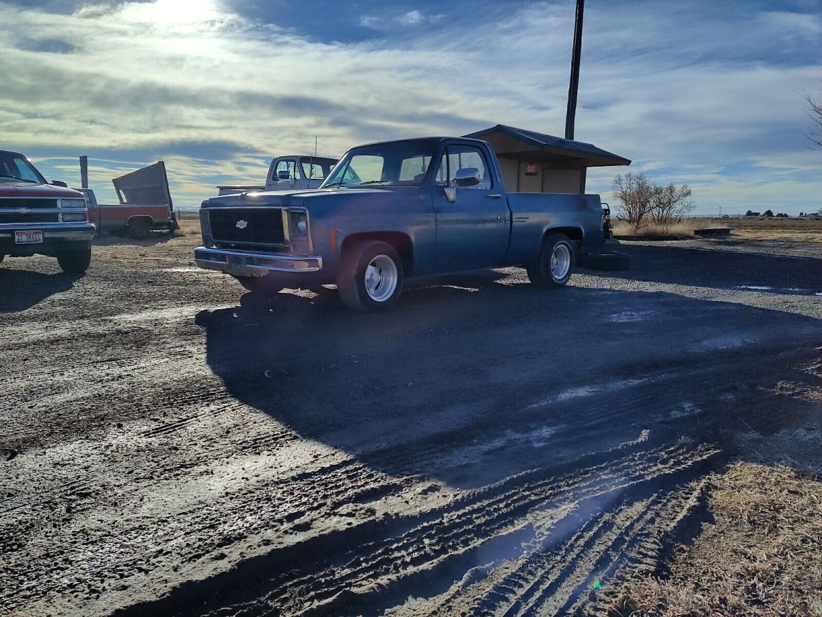 1979 Chevrolet C10 custom delux - photo 7