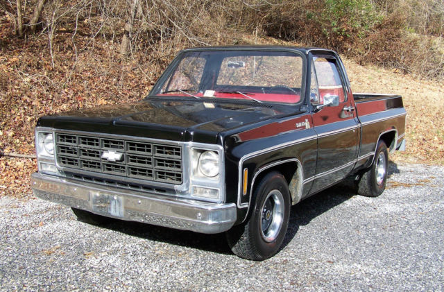 1979 Chevrolet C10 Scottsdale Standard Cab Pickup 2-Door 5.7L 1979 Chevrolet C-10 Scottsdale Standard Cab Pickup 2-Door