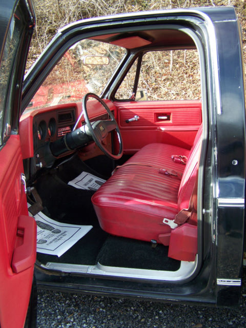 1979 Chevrolet C-10 Scottsdale Standard Cab Pickup 2-Door - photo 11