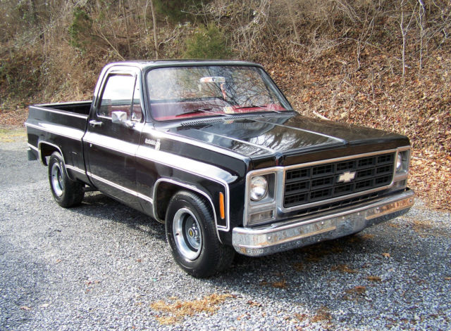 1979 Chevrolet C-10 Scottsdale Standard Cab Pickup 2-Door - photo 3