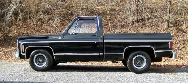 1979 Chevrolet C-10 Scottsdale Standard Cab Pickup 2-Door - photo 4