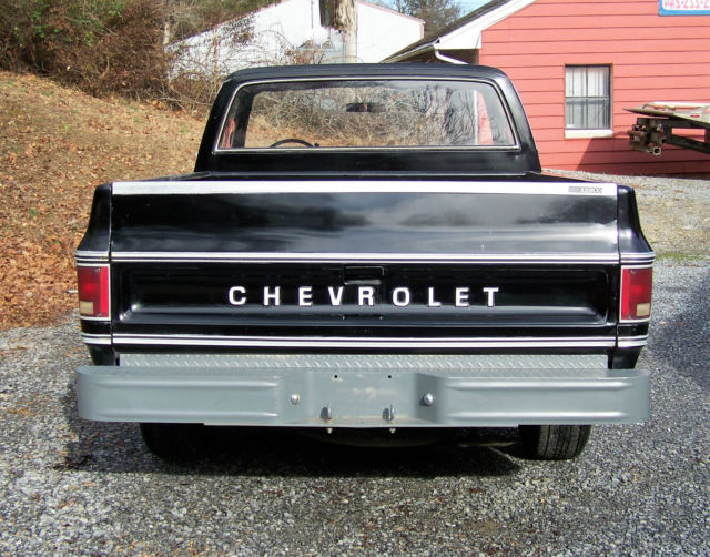 1979 Chevrolet C-10 Scottsdale Standard Cab Pickup 2-Door - photo 5