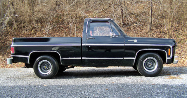 1979 Chevrolet C-10 Scottsdale Standard Cab Pickup 2-Door - photo 6