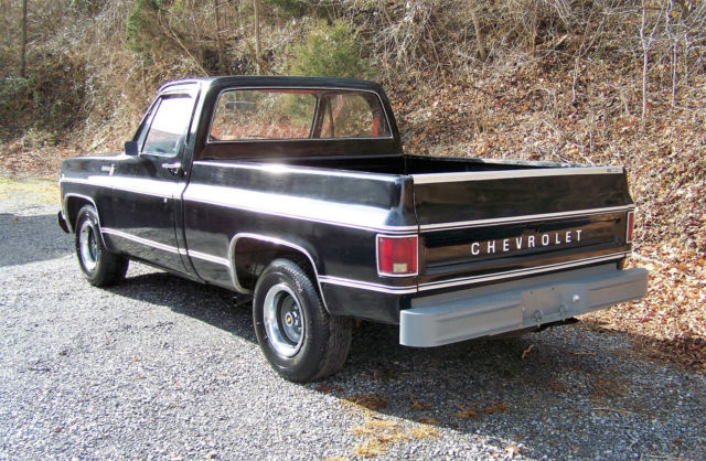 1979 Chevrolet C-10 Scottsdale Standard Cab Pickup 2-Door - photo 7