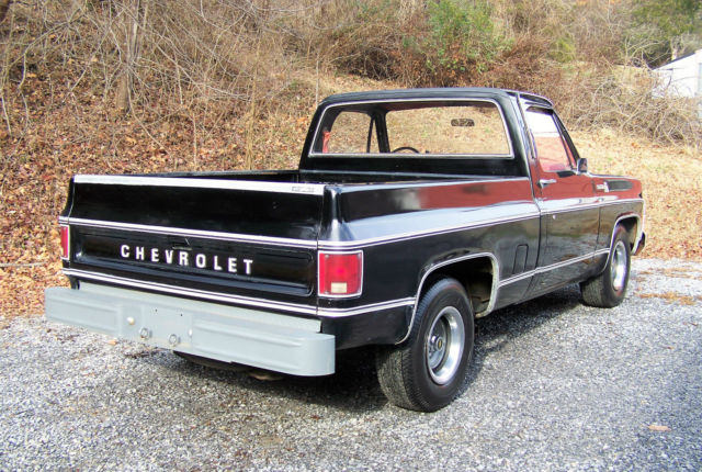 1979 Chevrolet C-10 Scottsdale Standard Cab Pickup 2-Door - photo 9