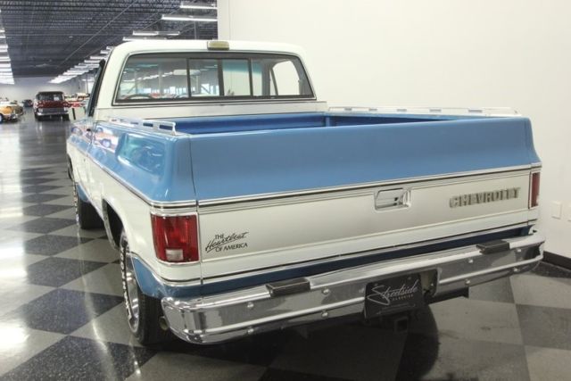 1979 Chevrolet C-10 Silverado - photo 11