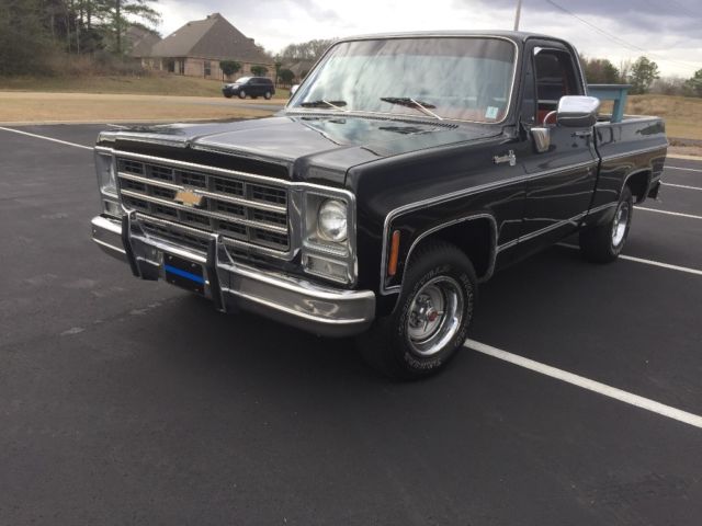 1979 Chevrolet C-10 Silverado - photo 2