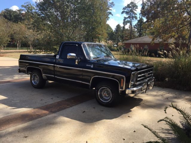 1979 Chevrolet C-10 Silverado - photo 3