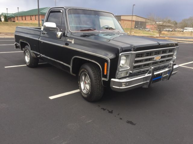 1979 Chevrolet C-10 Silverado - photo 6
