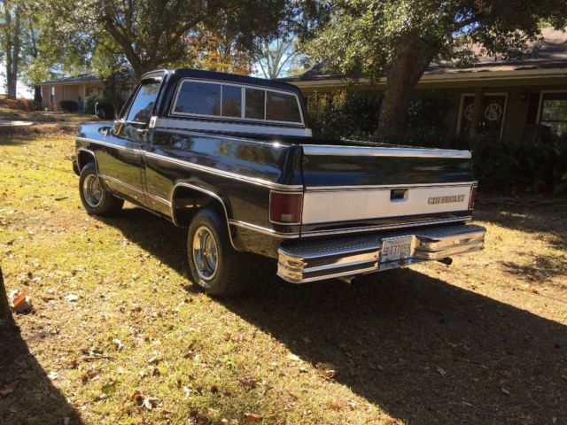 1979 Chevrolet C-10 Silverado - photo 9