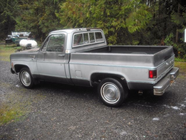 1979 Chevrolet C-10 Silverado - photo 2