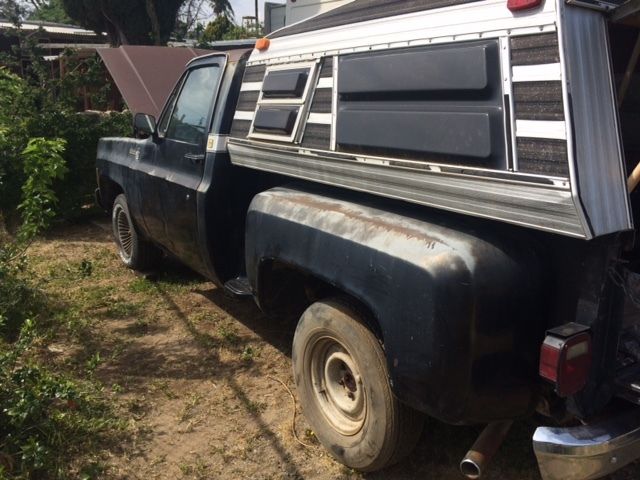 1979 Chevrolet C/K Pickup 1500 Deluxe - photo 2