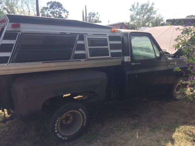 1979 Chevrolet C/K Pickup 1500 Deluxe - photo 4