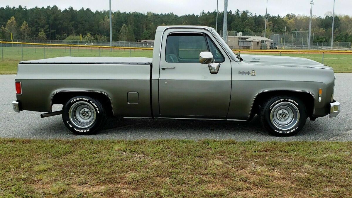 1979 Chevrolet C10/K10 Grey RWD Automatic Scottsdale 1979 Chevrolet C10/K10 Scottsdale