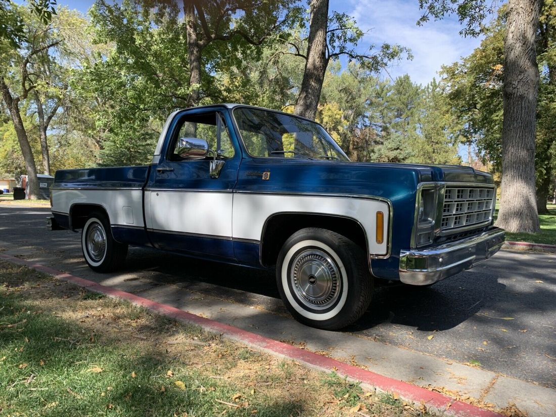 1979 Chevrolet C10/K10 Pickup Blue RWD Automatic Scottsdale 1979 Chevrolet C10/K10 Scottsdale