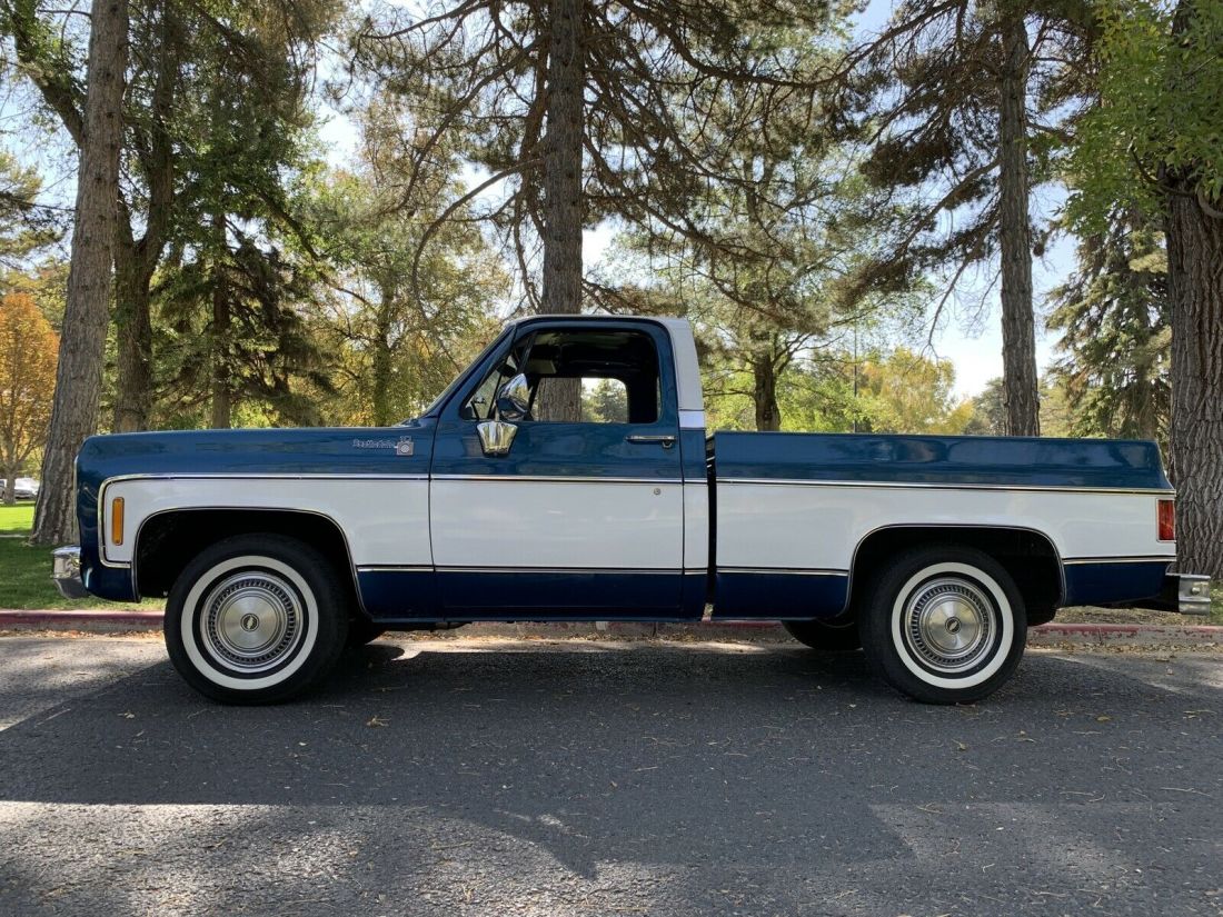 1979 Chevrolet C10/K10 Scottsdale - photo 5