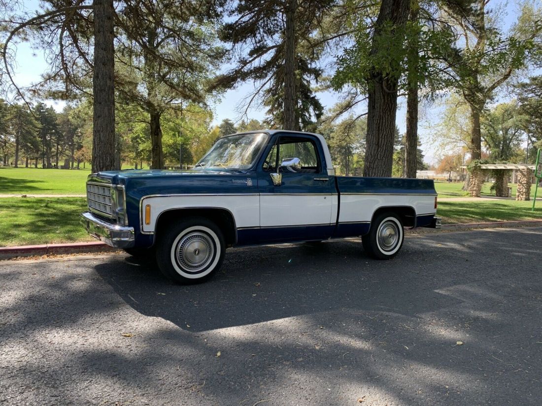 1979 Chevrolet C10/K10 Scottsdale - photo 6