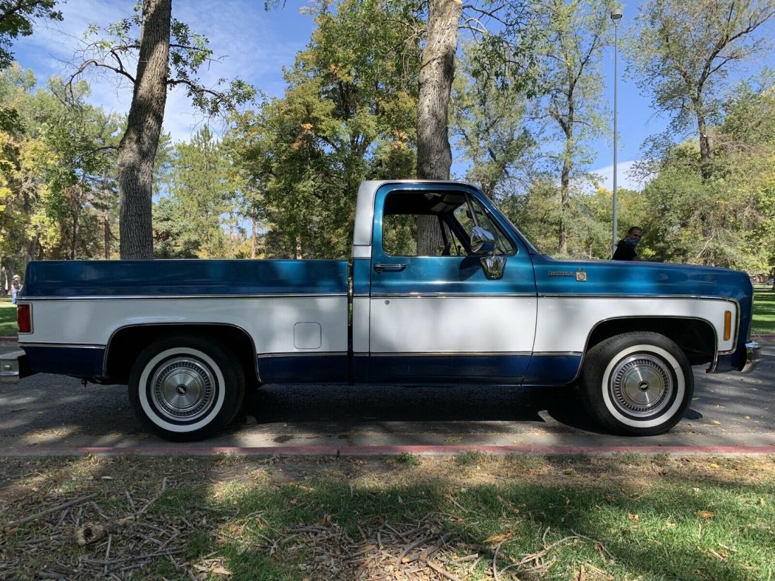 1979 Chevrolet C10/K10 Scottsdale - photo 7