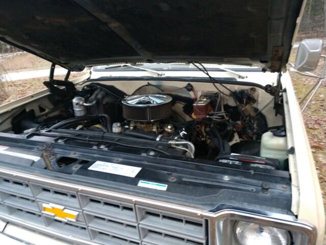 1979 Chevrolet C10/K10 Scottsdale - photo 3