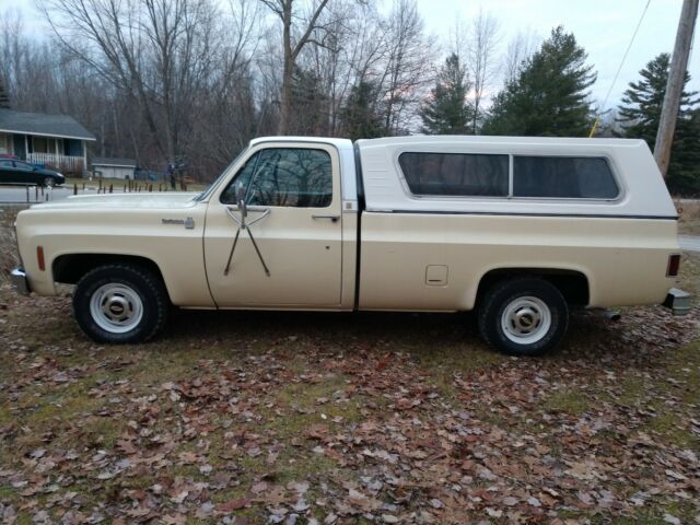 1979 Chevrolet C10/K10 Scottsdale - photo 4