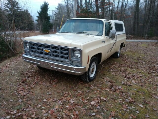 1979 Chevrolet C10/K10 Scottsdale - photo 5