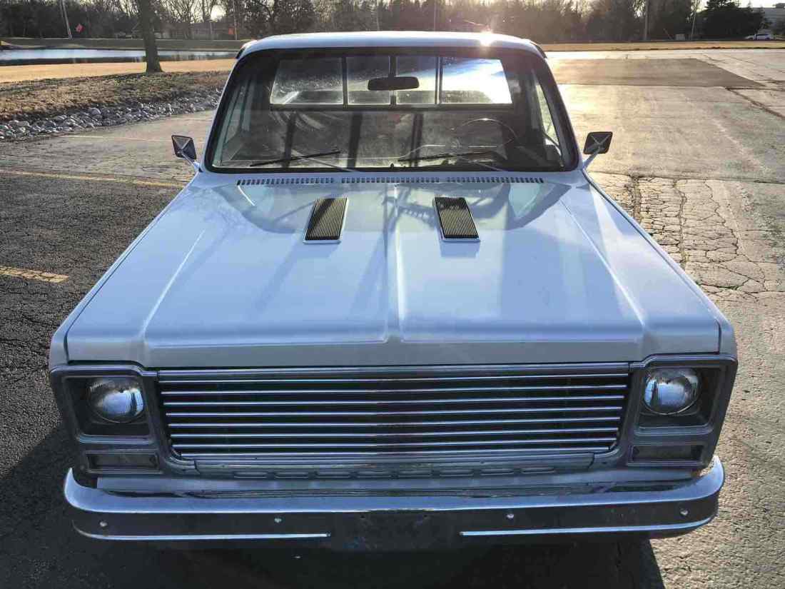 1979 Chevrolet C10/K10 Scottsdale - photo 3