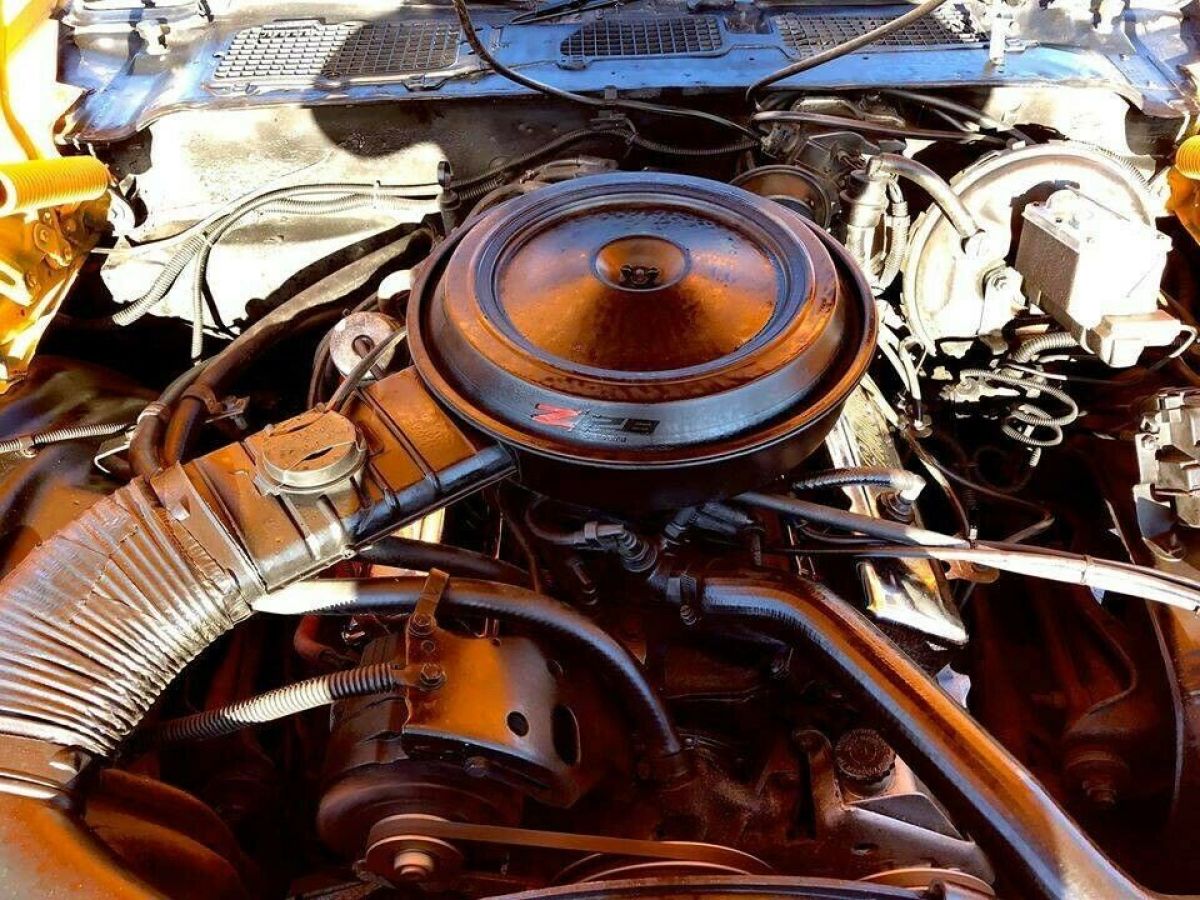 1979 Chevrolet Camaro Z28 - photo 11