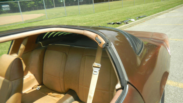 1979 Chevrolet Camaro Z28 - photo 7