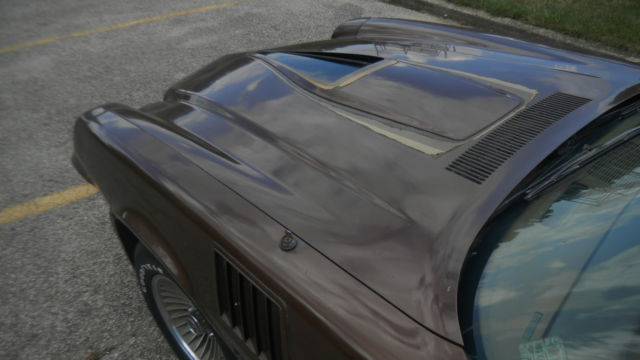 1979 Chevrolet Camaro Z28 - photo 8