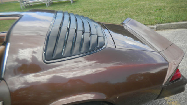 1979 Chevrolet Camaro Z28 - photo 9