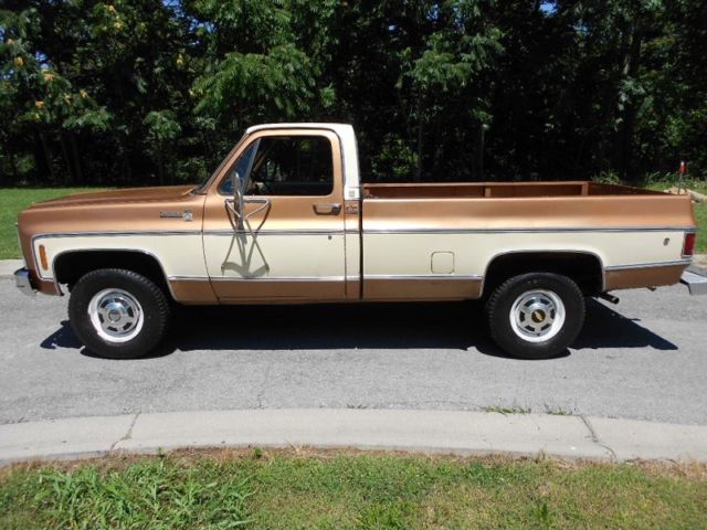 1979 Chevrolet camper special big block 454 1979 Chevrolet Other Pickups