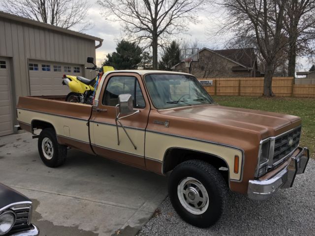 1979 Chevrolet Other Pickups - photo 2