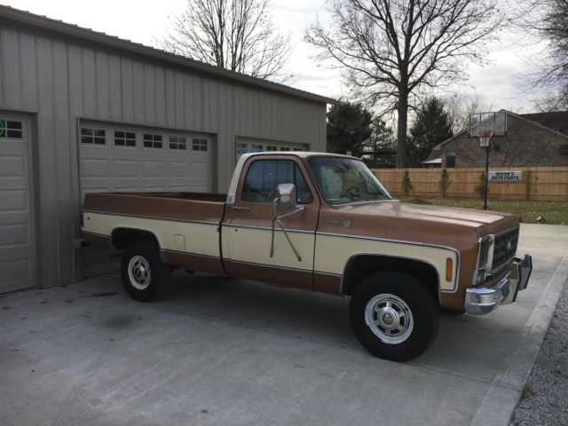 1979 Chevrolet Other Pickups - photo 3