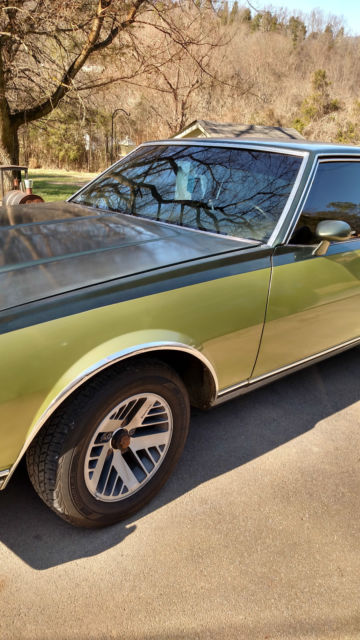 1979 Chevrolet Caprice - photo 4