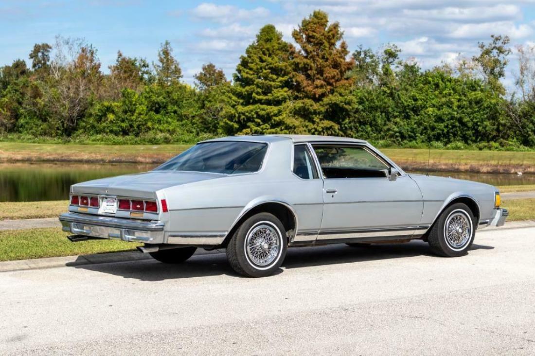 1979 Chevrolet Caprice Landau - photo 5