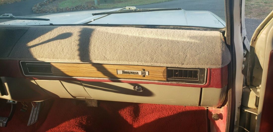 1979 Chevrolet C-10 Bonanza - photo 13