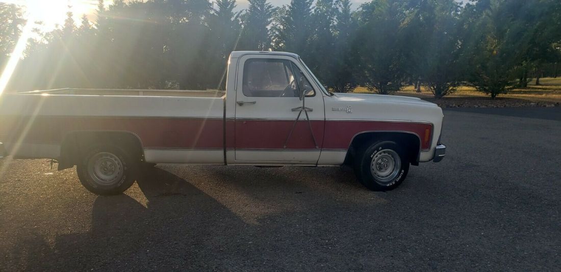 1979 Chevrolet C-10 Bonanza - photo 2