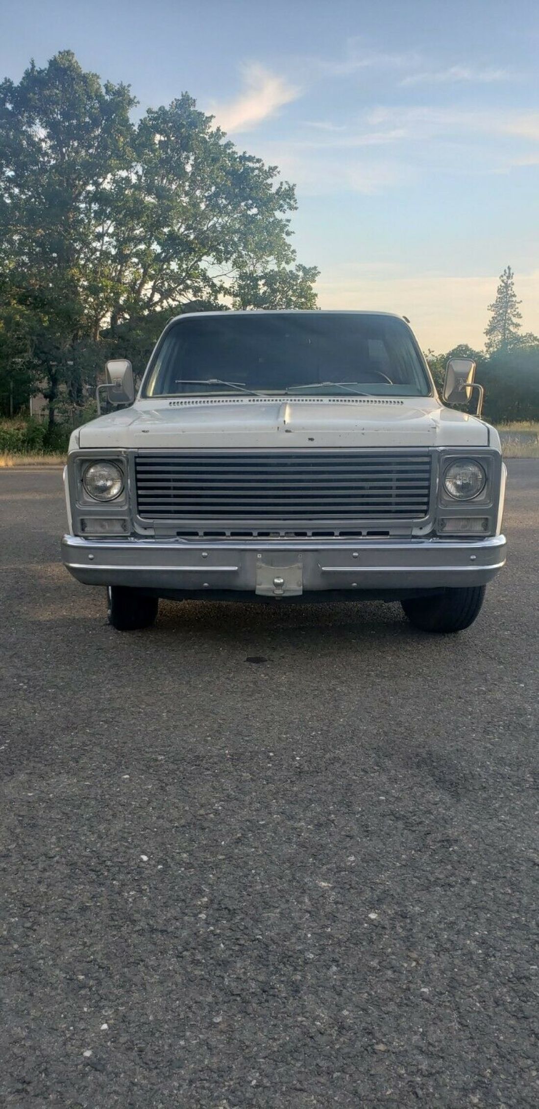 1979 Chevrolet C-10 Bonanza - photo 4