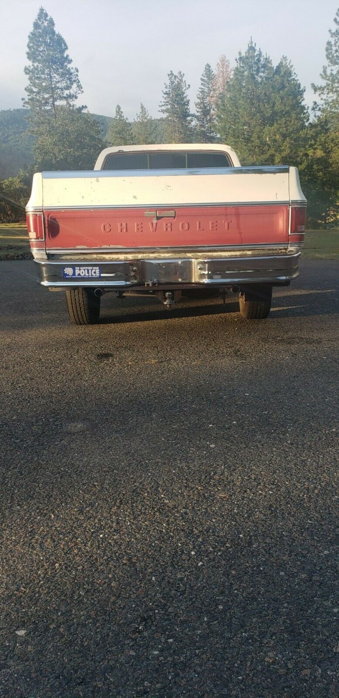 1979 Chevrolet C-10 Bonanza - photo 6