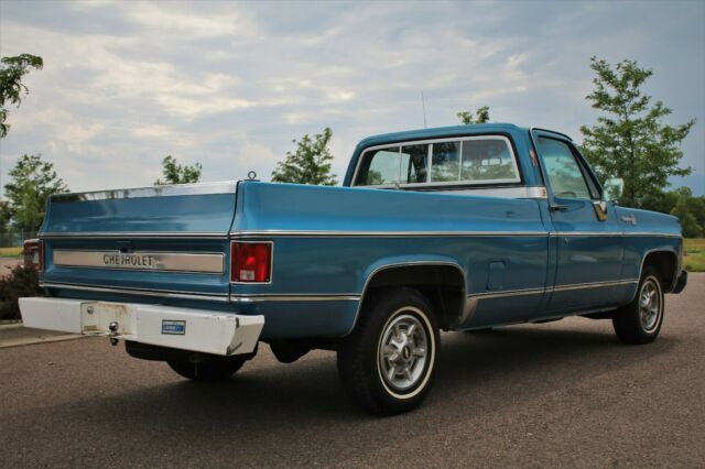 1979 Chevrolet C-10 Cheyenne Big10 - photo 7