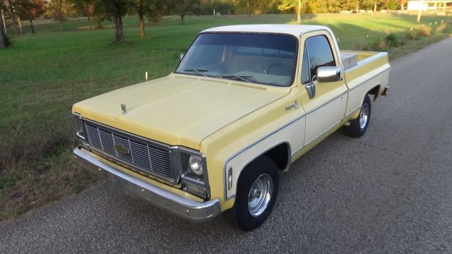 1979 CHEVROLET CHEYENNE TRUCK SWB / VERY SOLID!! LAST YEAR FOR ROUND HEADLIGHTS 1979 Chevrolet Cheyenne CHEYENNE