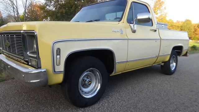 1979 Chevrolet Cheyenne CHEYENNE - photo 2