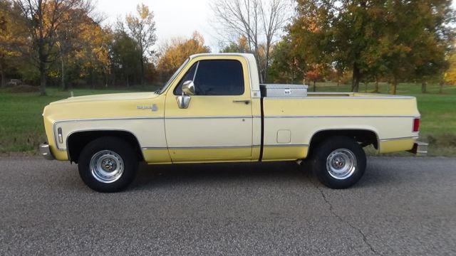 1979 Chevrolet Cheyenne CHEYENNE - photo 3