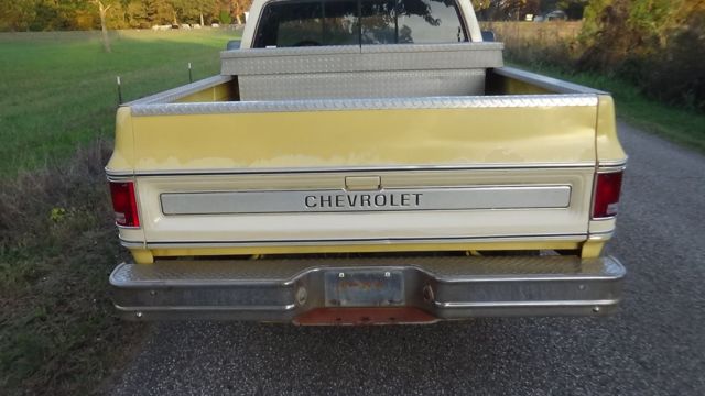 1979 Chevrolet Cheyenne CHEYENNE - photo 5