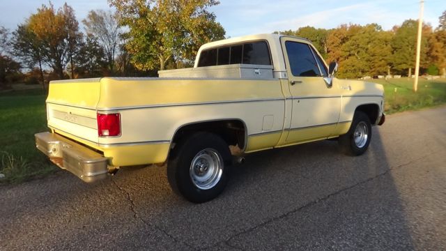 1979 Chevrolet Cheyenne CHEYENNE - photo 6