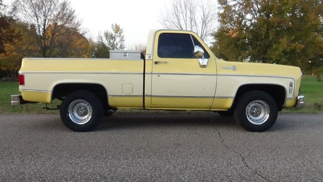 1979 Chevrolet Cheyenne CHEYENNE - photo 7