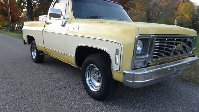 1979 Chevrolet Cheyenne CHEYENNE - photo 8